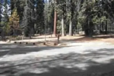 Stony Creek Sequoia