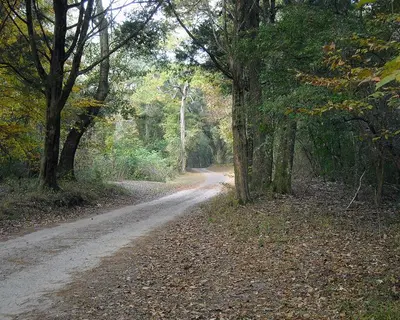 Blakley road2 web