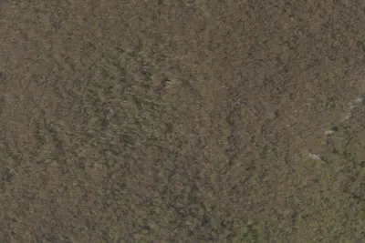 Camp site