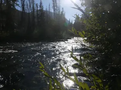 River near Cascade Campground