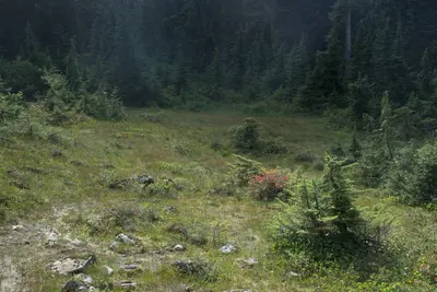 Frypan Camp Site