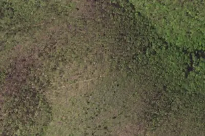 Camp site