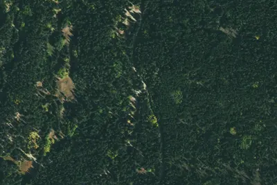 Camp site