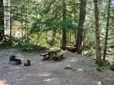A small campsite covered in shade by surrounding trees. The site has a wooden picnic table and metal fire ring.