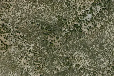 Camp site