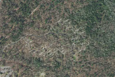 Chilhowee Campground - Loops C / D / E / F