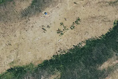 Camp site