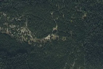Bear Fork Road-011
