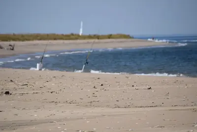 Fishing Poles at North Beach