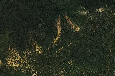 Camp site