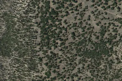 Armijo Springs Campground