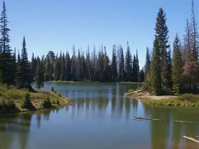 Potters    Pond