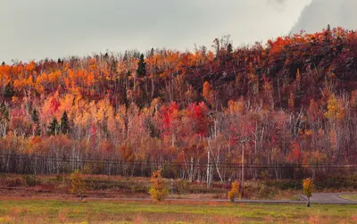 Highway 61, Silver Bay, Minnesota (23131076843)