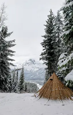 Wapta falls trail, Yoho National Park in winter