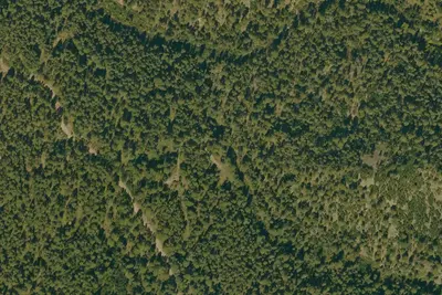 Camp site