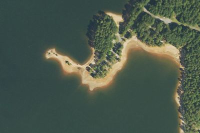 Camp site