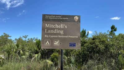 Mitchell's Landing