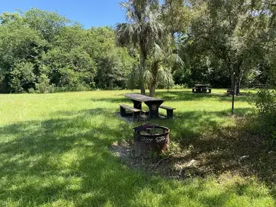 Mitchell's Landing Campsite #13
