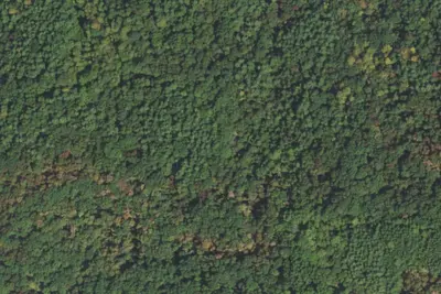 Camp site