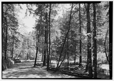 Eagle creek recreation area, view of picnic area (24615846783)
