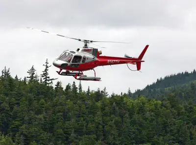 Helicopter (349272553)