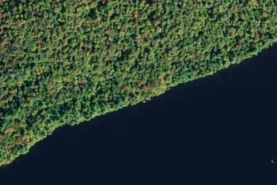 Camp site