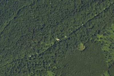Indian Outlook Campsite