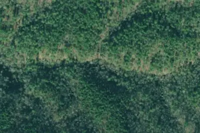 Camp site