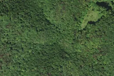 Camp site