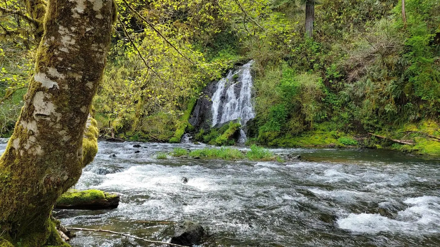 Alder Glen waterfall view from campsite 9