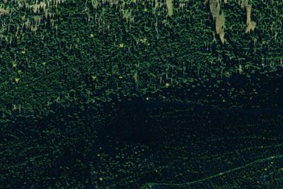 Tr77 Site 1