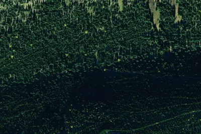 Tr77 Site 1