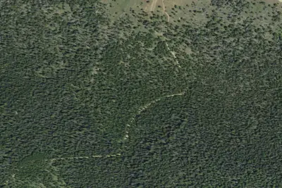 Camp site