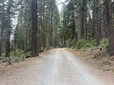 Ponderosa cove group campground