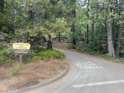 Ponderosa Cove Campground