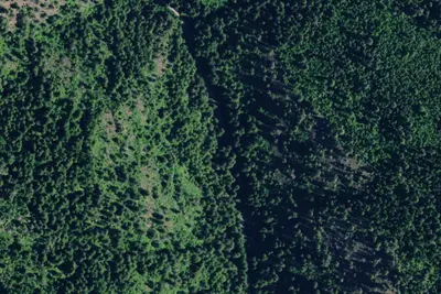 Rd 438 Site 3a