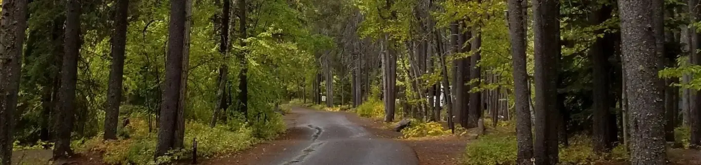 The quiet road to Apgar Campground