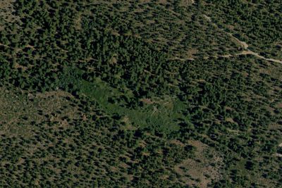 Camp site