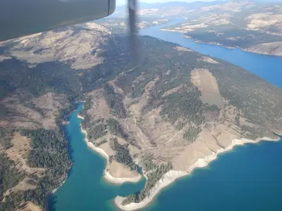 2014. Mountain pine beetle damage around Franklin D. Roosevelt Lake, Washington. (38371649962)