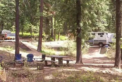 Campsites in Spring Creek Campground surrounded by Ponderosa Pine trees.