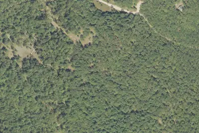 Site 18