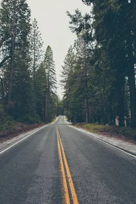 South Lake Tahoe Road (Unsplash)