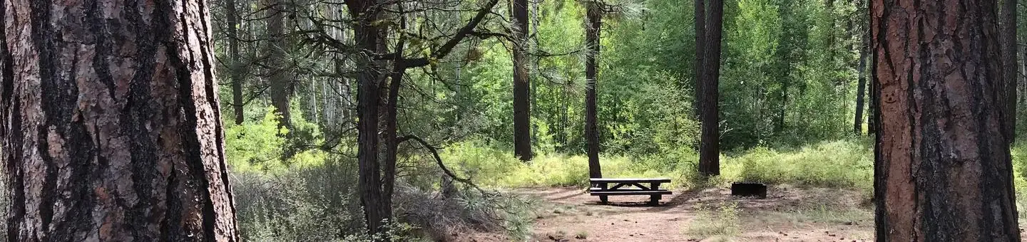 Indian Ford Campground