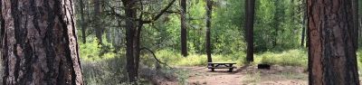 Indian Ford Campground