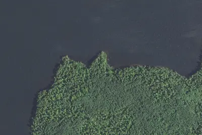 Camp site