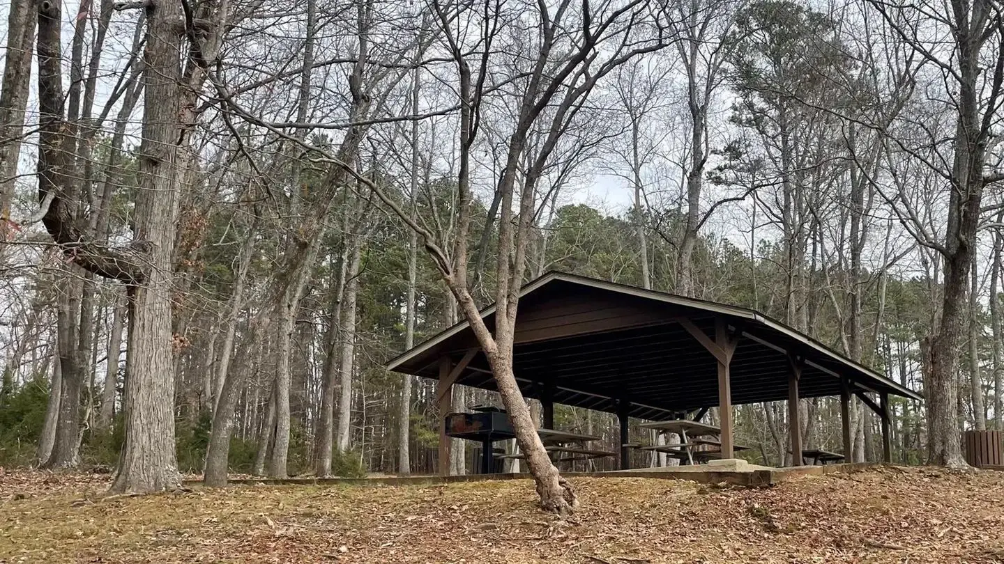 Grassy Creek Shelter
