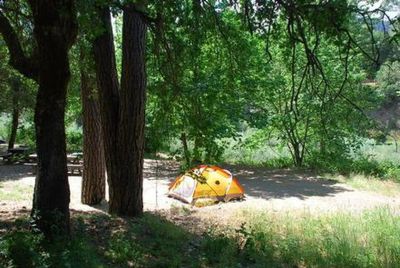 Curly Jack Campground