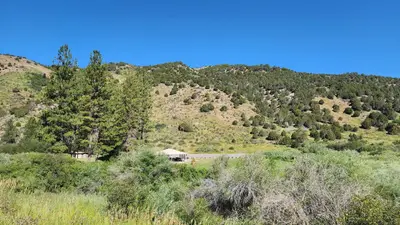 The view of Mink Creek from the road
