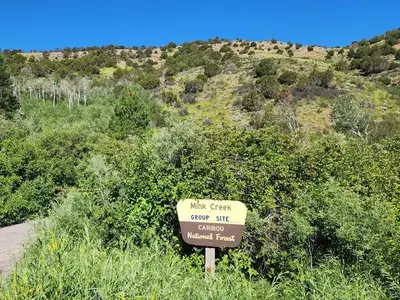 Mink Creek sign and view