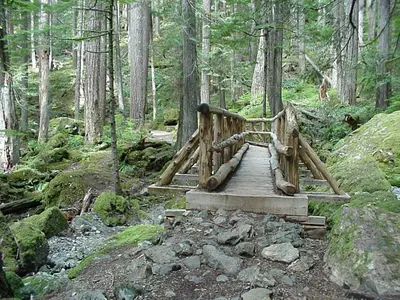 Lena Lake Trail Bridge, Olympic National Forest (23526238835)